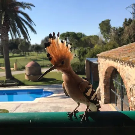 Masia Ca La Caputxeta Casa rural