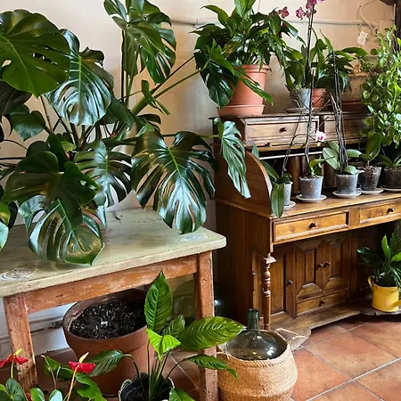 Casa rural Masia Ca La Caputxeta *